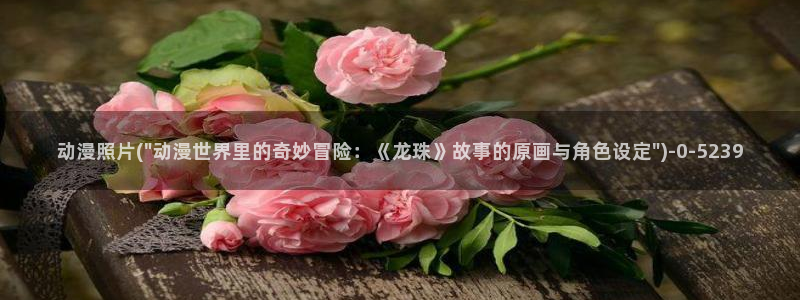 夏洛特动漫