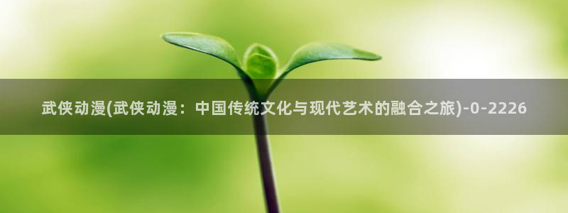 动漫游戏